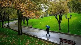 کمبود فضای سبز در برخی محلههای تهران کمبود فضای سبز در برخی محلههای تهران